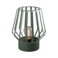 Windlicht (LED) „Pavone“ Metall grün