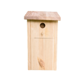 Schnapsdrossel
