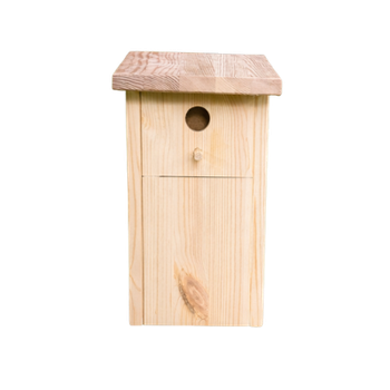 Schnapsdrossel